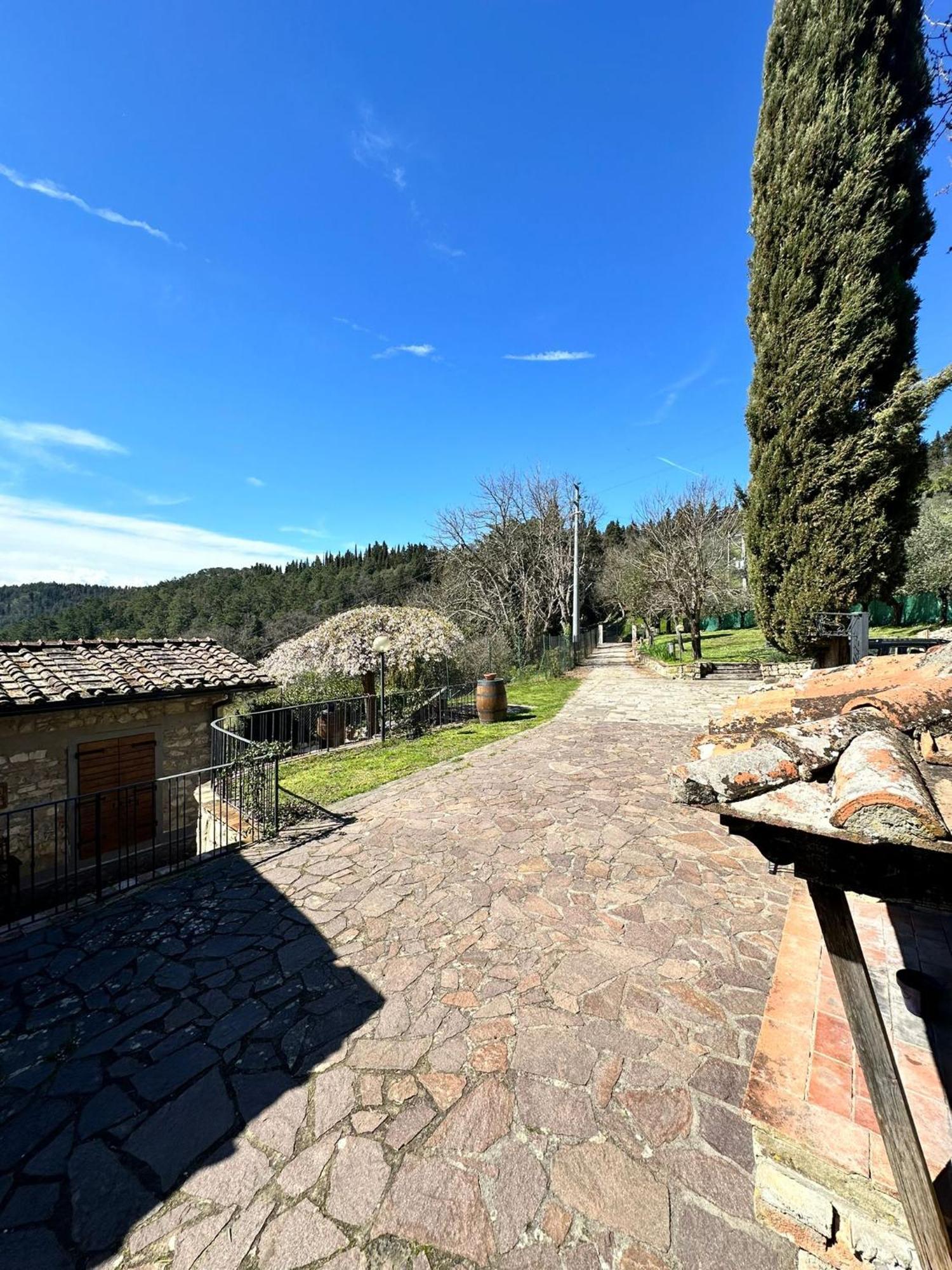 Agriturismo Tassinaia Pontassieve Exterior photo